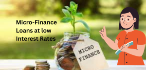 Micro-Finance Loans at low Interest Rates